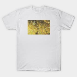 Autumn Inspired 1 by Kristalin Davis T-Shirt